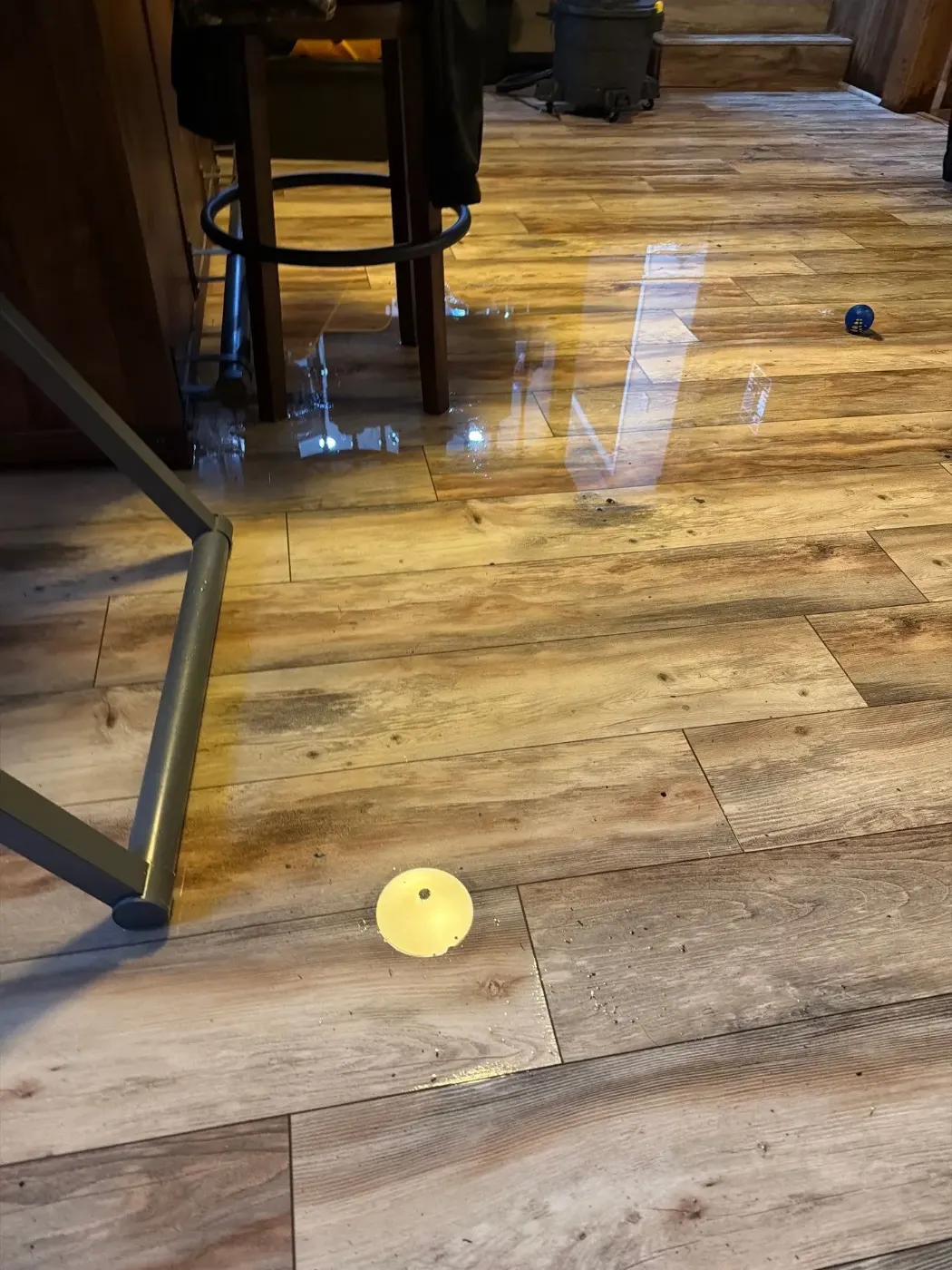 Thermal imaging during water damage assessment in Pike residence